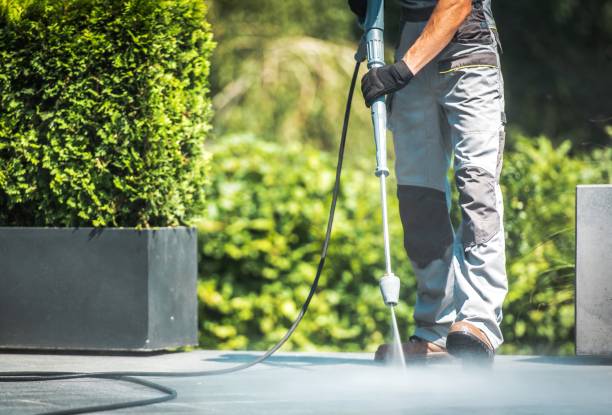 Best Fence Cleaning  in Geneva, NY